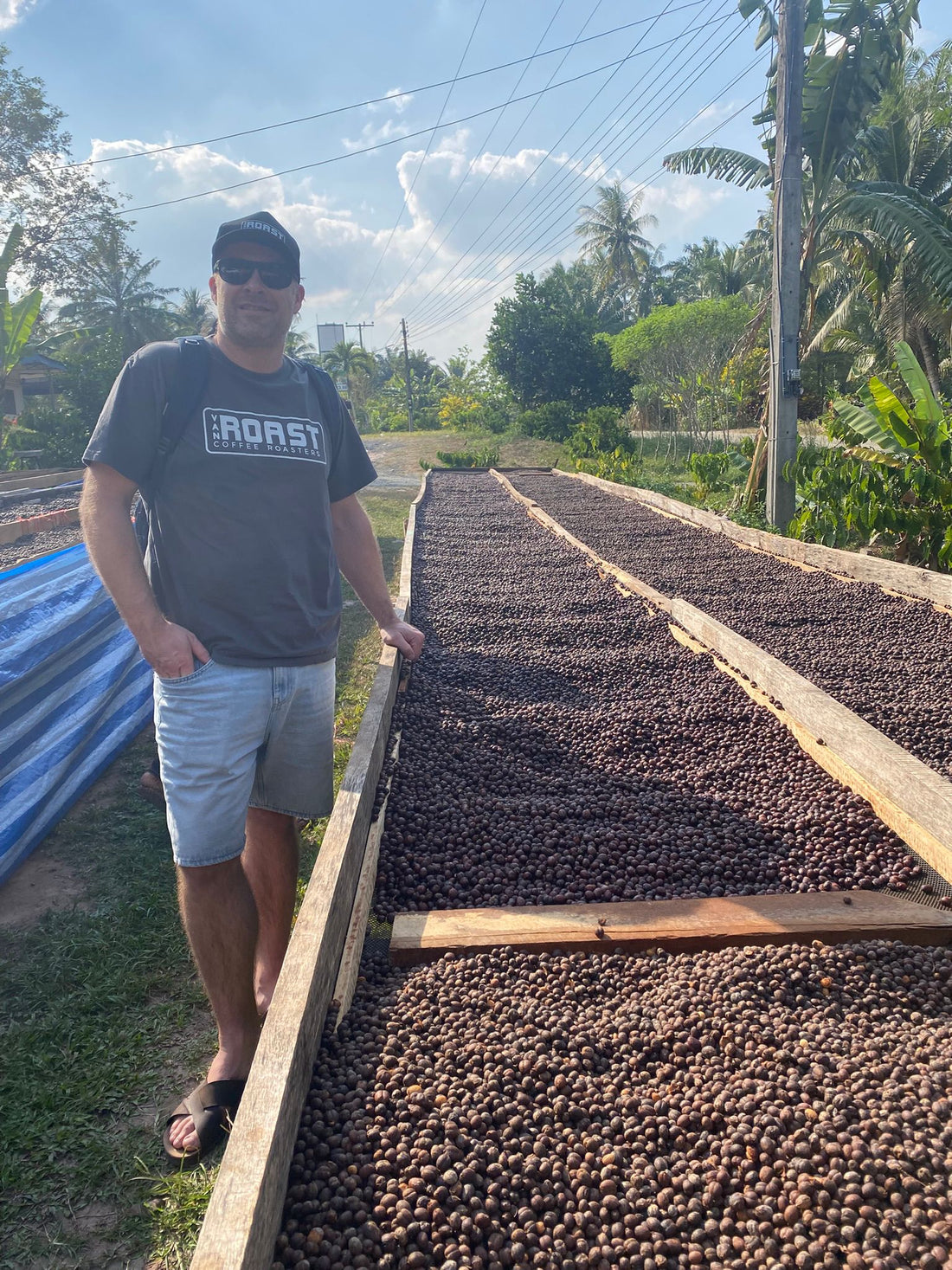 Ons Bezoek Bij Een Koffieplantage – Waar Smaak Echt Begint
